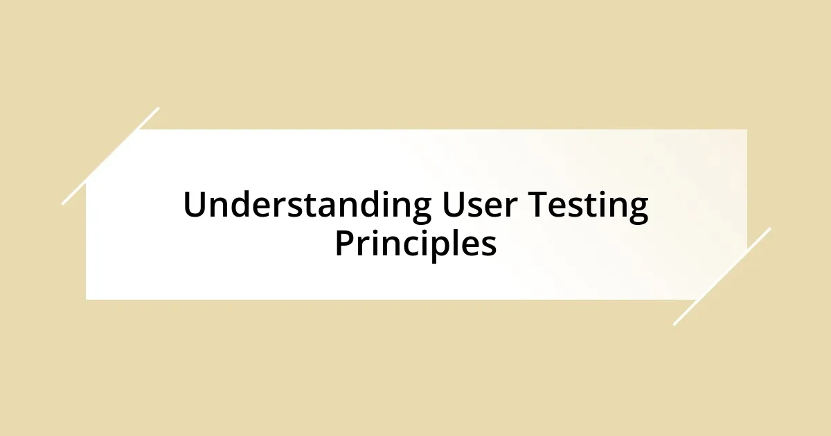 Understanding User Testing Principles